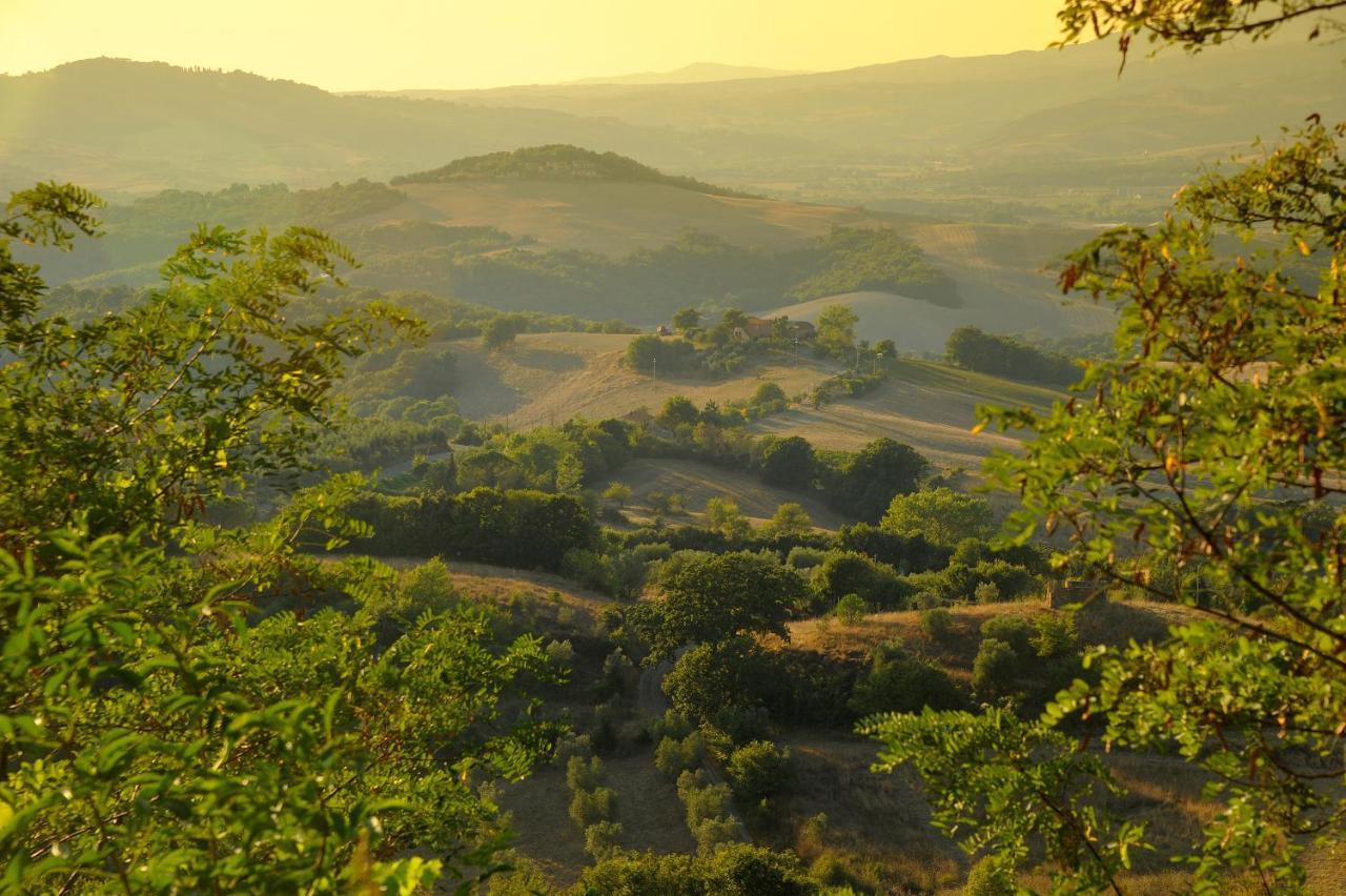 Castello Ginori Di Querceto Leilighet Querceto  Eksteriør bilde