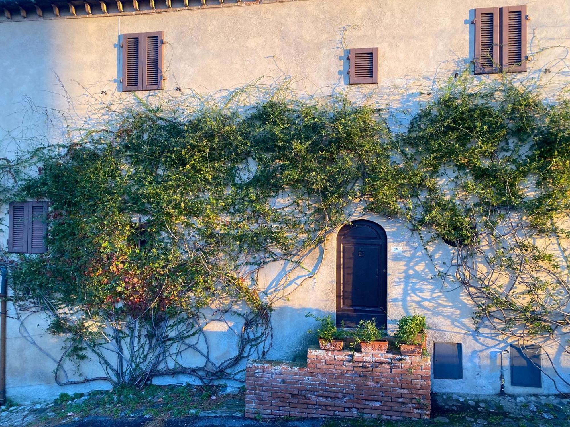 Castello Ginori Di Querceto Leilighet Querceto  Eksteriør bilde